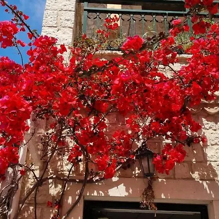 Πλωτό κατάλυμα Santa Maria